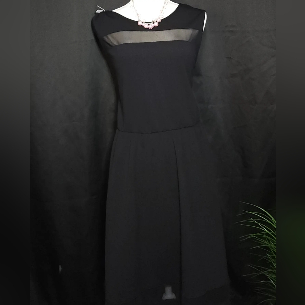 Urban Rose Black 3X Dress